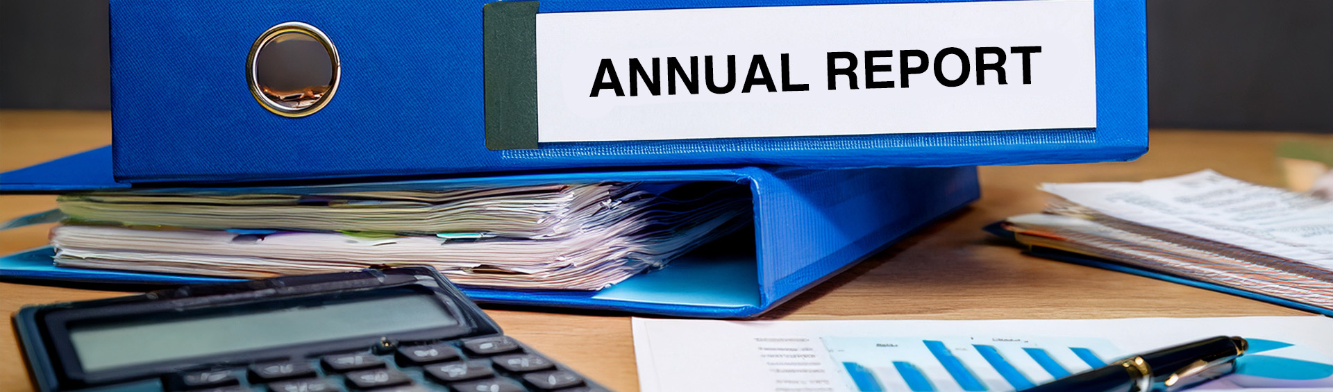 Annual report 