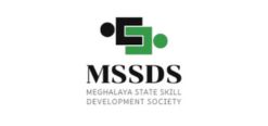 mssds
